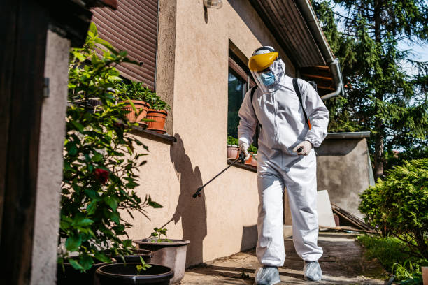 Best Emergency Pest Control  in Double Oak, TX