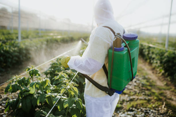 Best Pest Control Near Me  in Double Oak, TX
